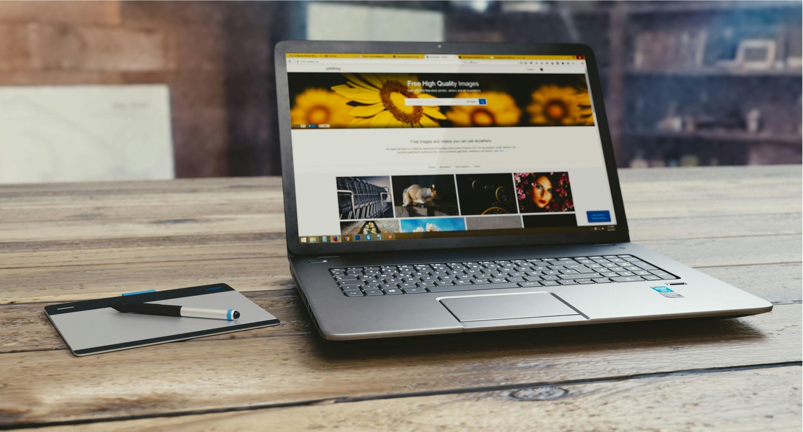 Web Development